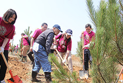 公益財團法人永旺環境財團開展的植樹活動